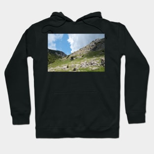 View from Bucegi mountains, Romania, Bucegi National Park Hoodie